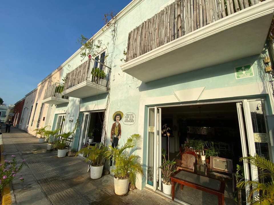 Property building