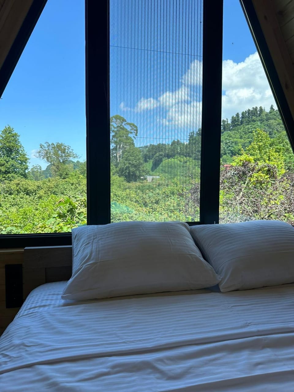 Bed, Natural landscape