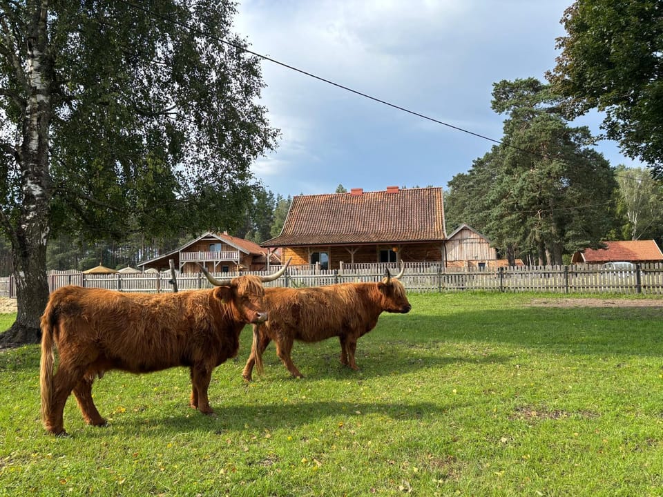 Property building, Day, Natural landscape, Animals