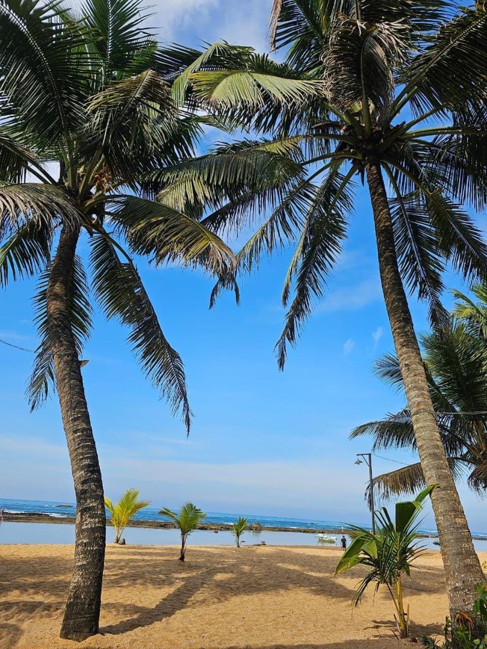 Natural landscape, Beach, Sea view