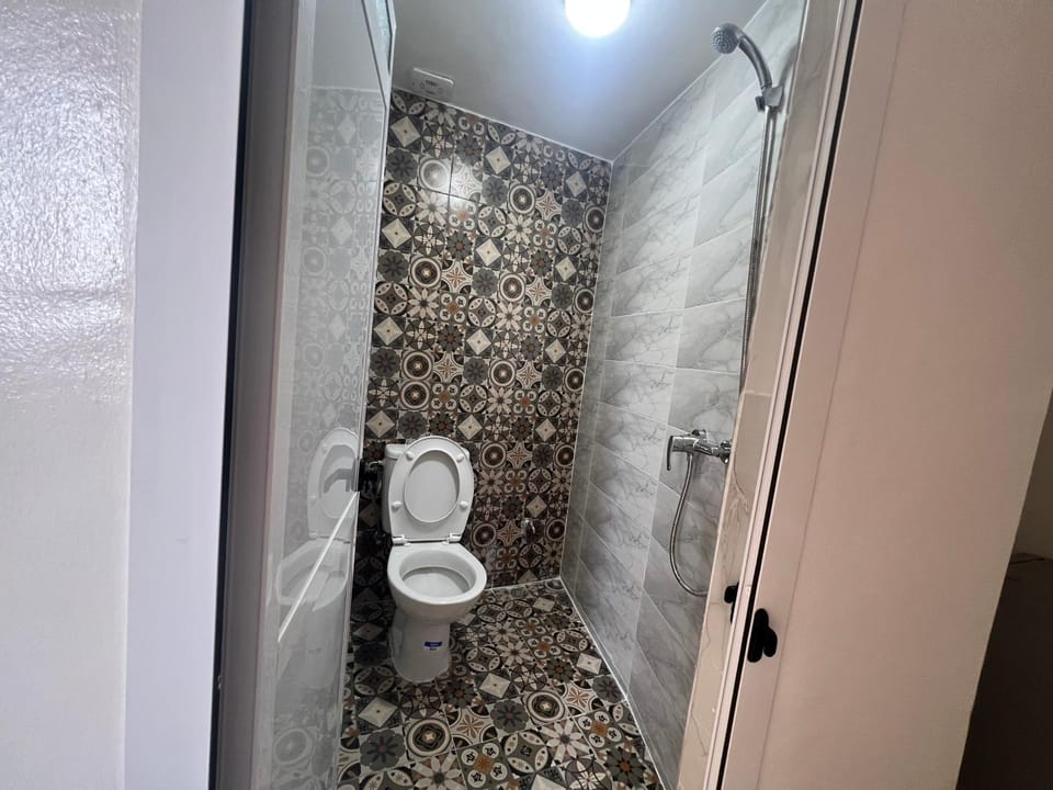 Shower, Toilet, Bathroom, bidet