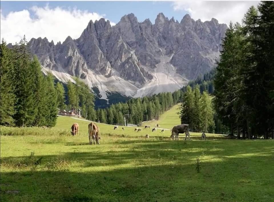 Natural landscape