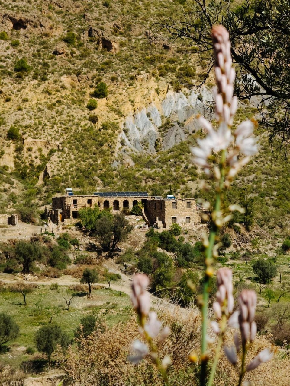 Property building, Natural landscape