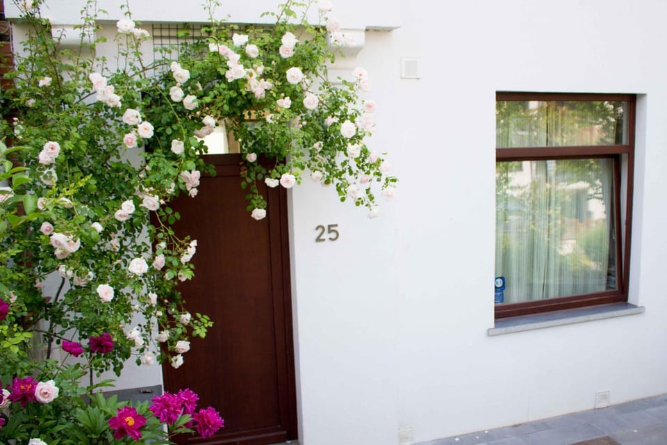 Facade/entrance, Spring