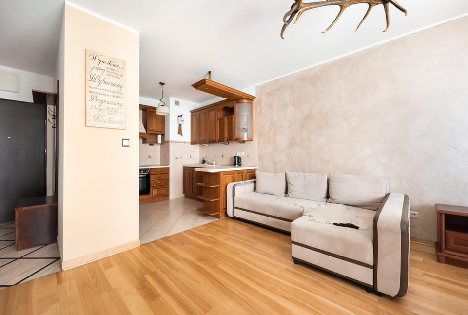 Kitchen or kitchenette, Living room, Seating area, stove