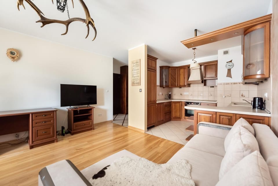 Communal lounge/ TV room, TV and multimedia, Kitchen or kitchenette, Living room, Seating area, Evening entertainment, oven, stove