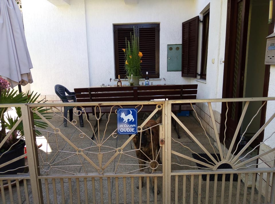 Patio, Facade/entrance, Summer, Balcony/Terrace, Pets