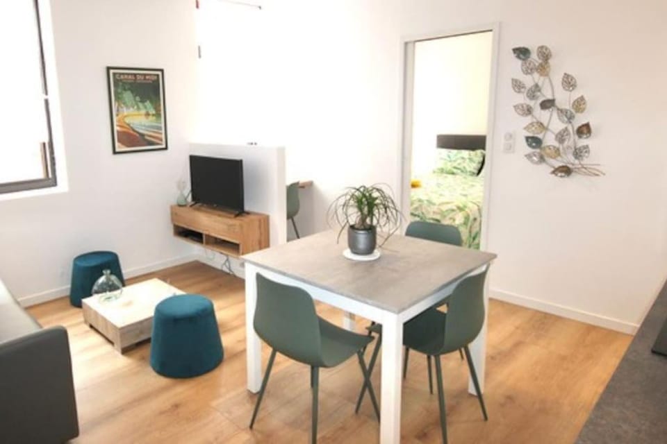 AU GOÛT DU JOUR T2 Climatisé Apartment in Toulouse