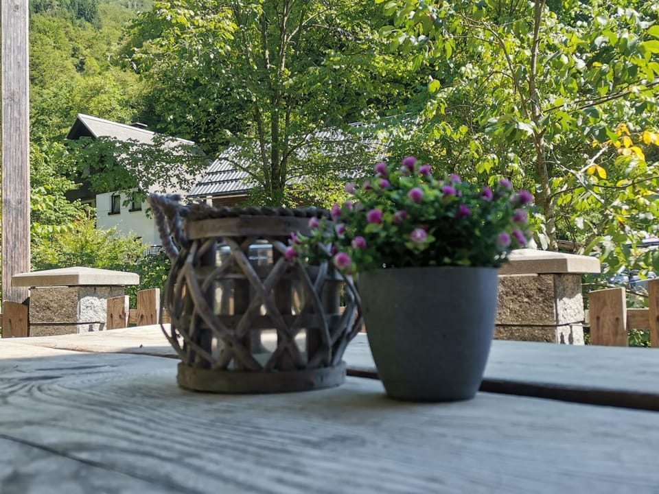 Apartma Bohinj Apartment in Slovenia