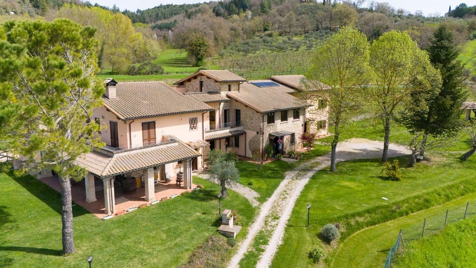 Property building, Natural landscape, Garden