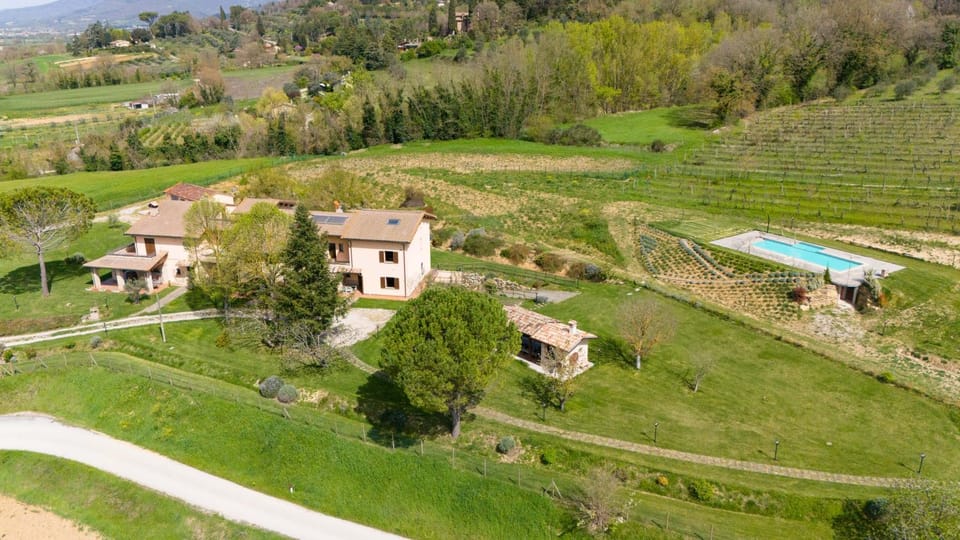 Property building, Natural landscape, Bird's eye view, On site, Garden view, Pool view