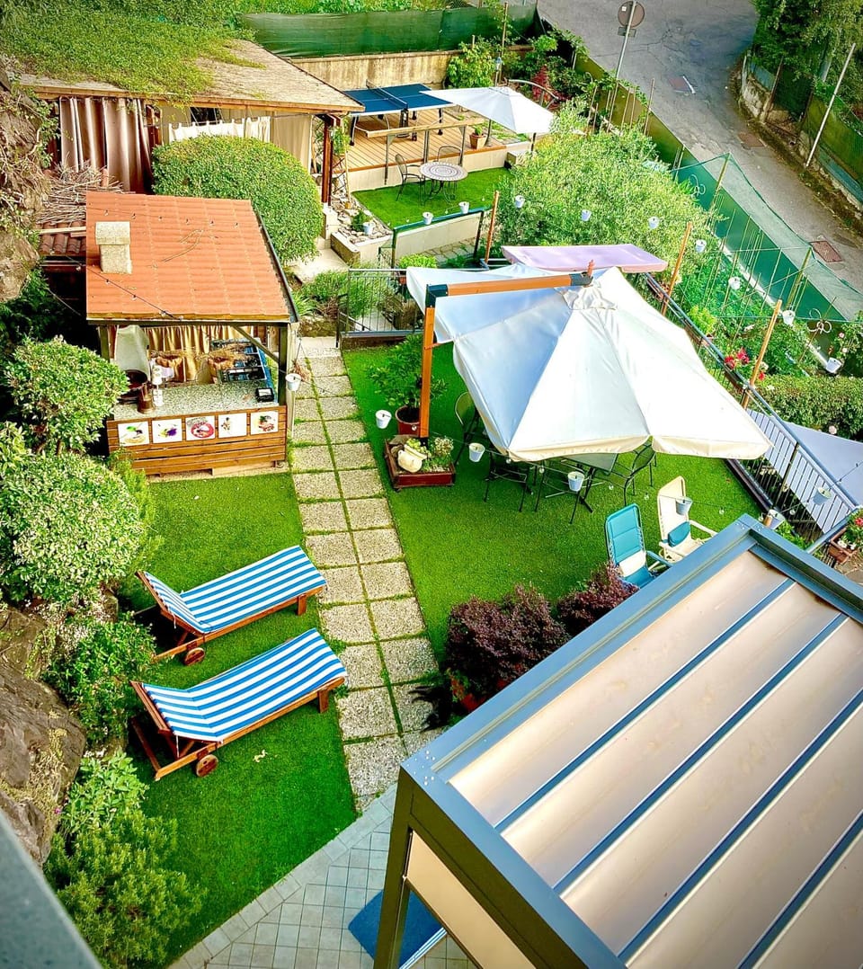 Day, Garden, Garden view, sunbed