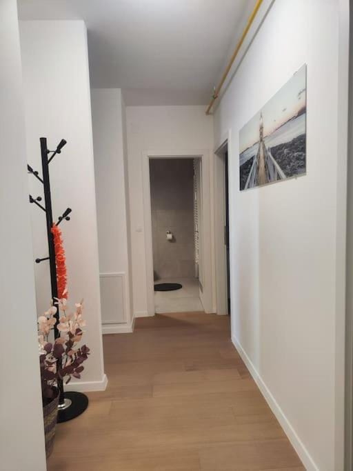 Apartman Branka Apartment in Zadar