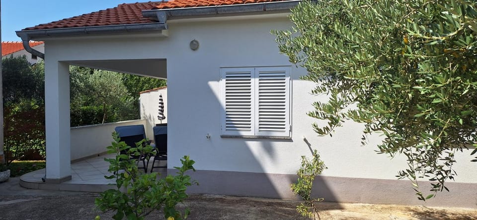 Property building, Day, Garden