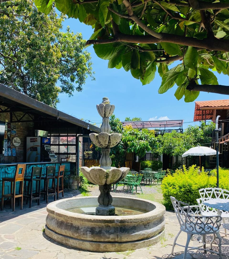 Garden, Lounge or bar