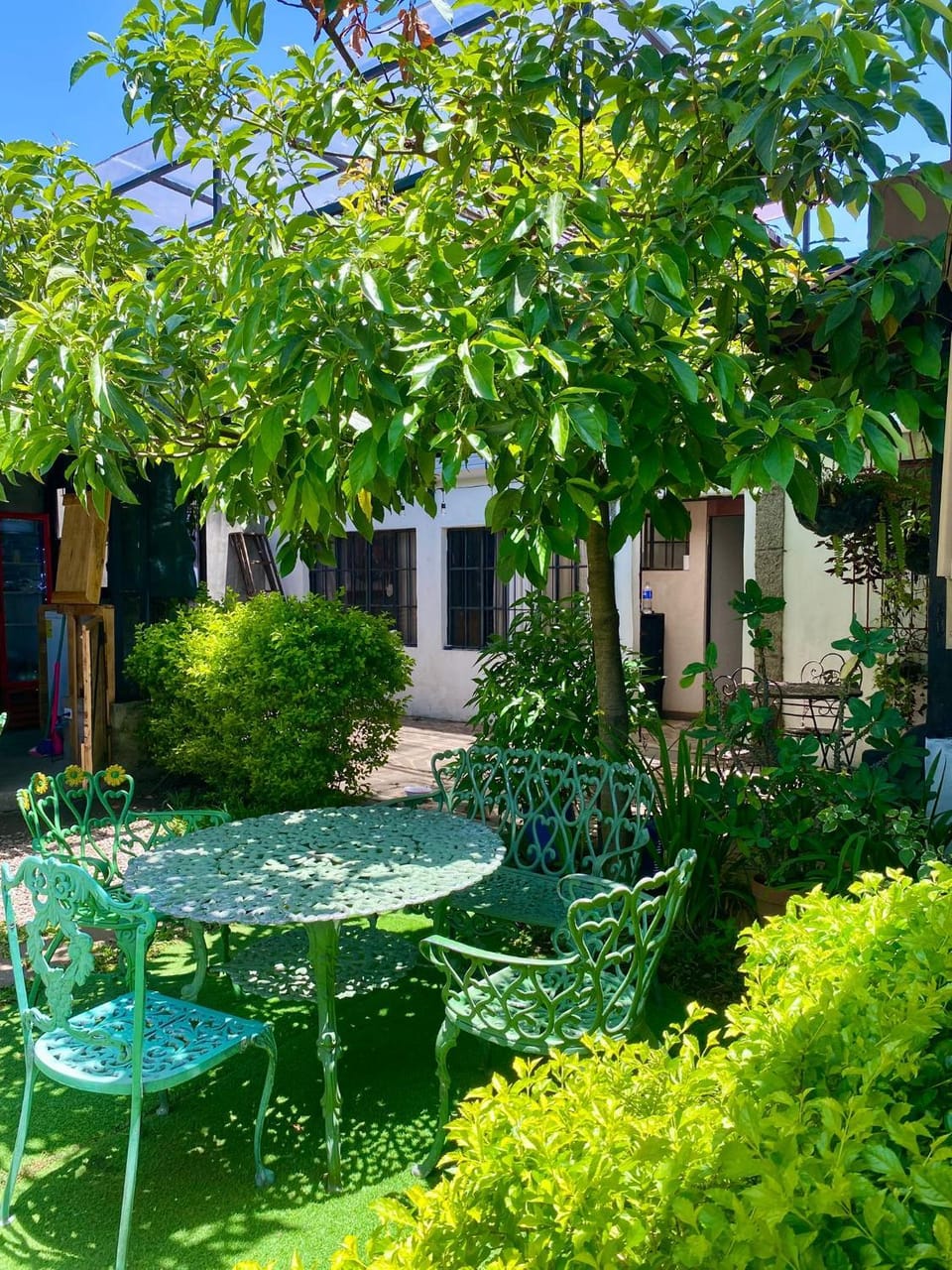 Garden