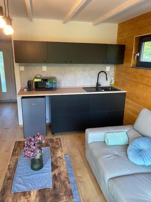 Tiny house & AC Chalet in Slovakia