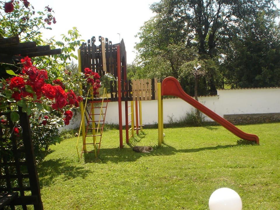 Children play ground
