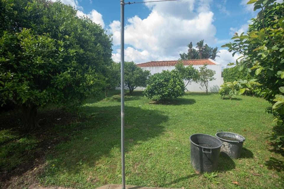 Casa Gabriel Barbosa House in Azores District