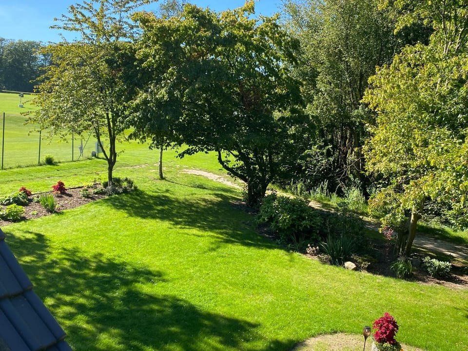 Garden, Garden view, Inner courtyard view
