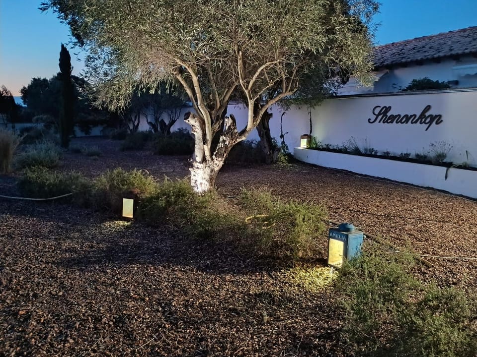 Property building, Garden, Garden view