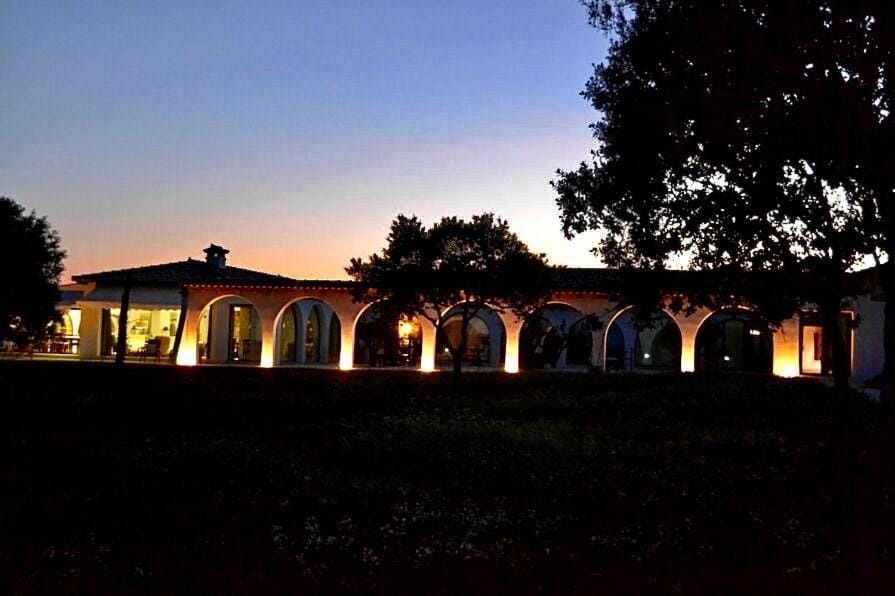 Property building, Night, Garden, Garden view