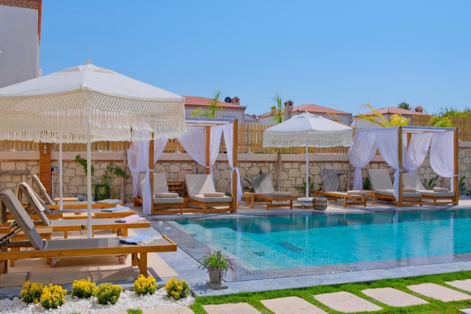 Day, Pool view, sunbed