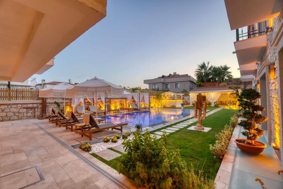 Night, Garden view