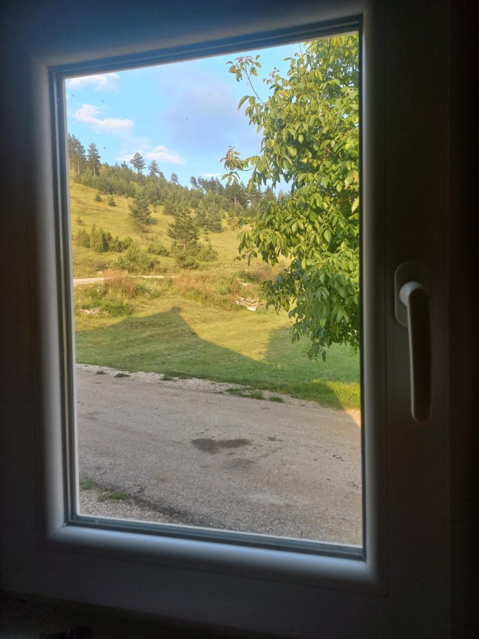 Garden, Garden view