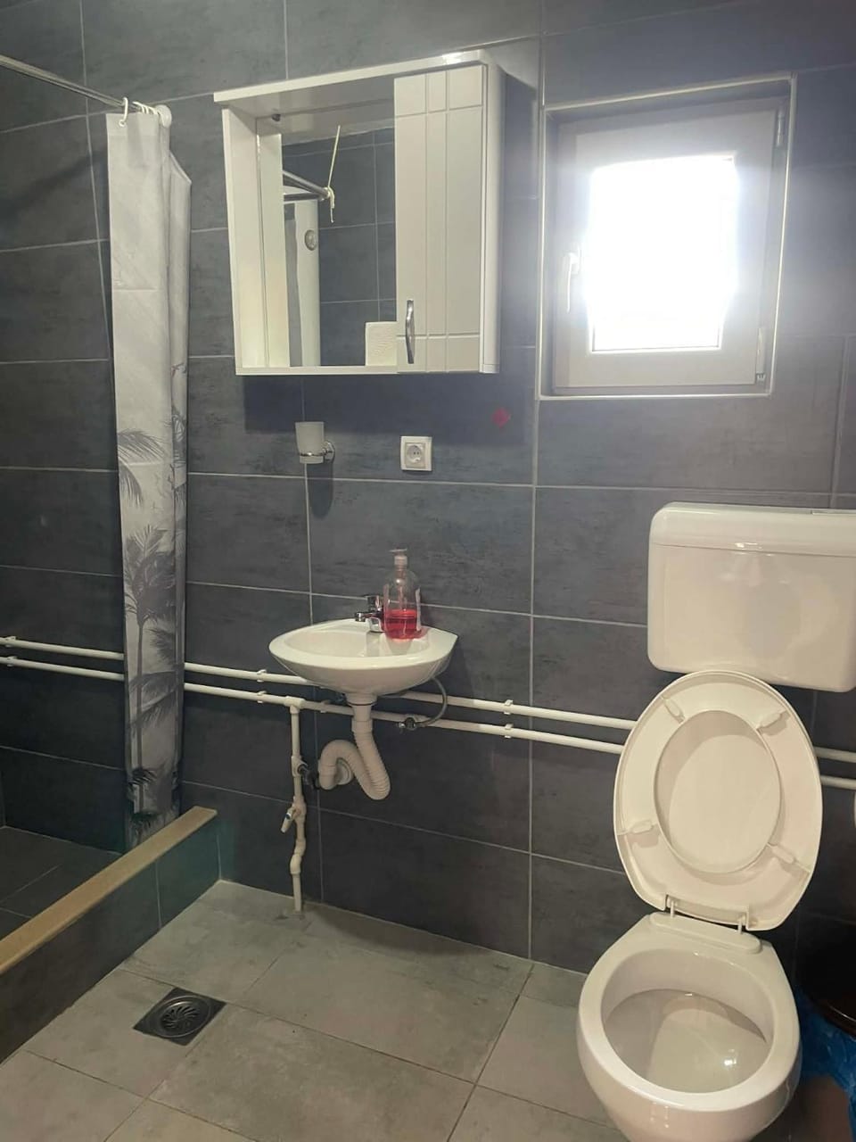 Petrovica Apartment in Zlatibor District, Serbia