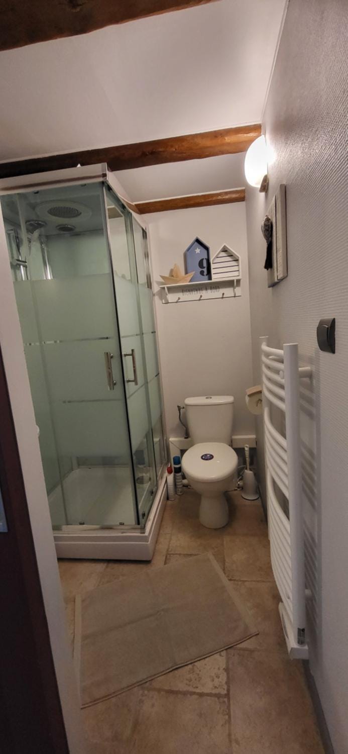 Shower, Toilet, Bathroom