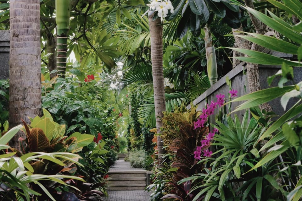 Facade/entrance, Garden