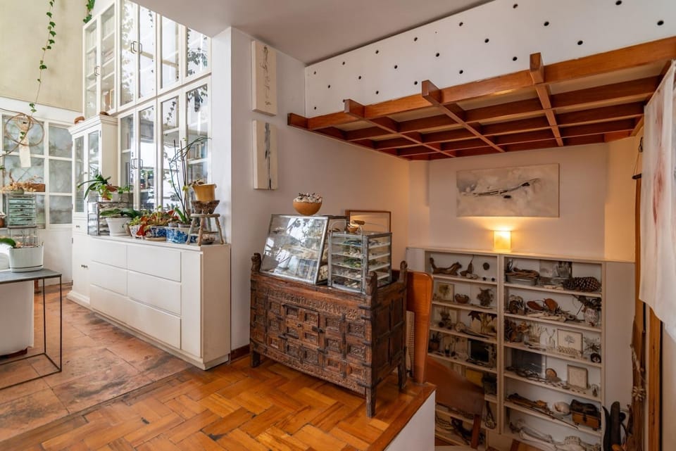 MrW Artist's Atelier Orchid Oasis 3Br House House in Mexico City