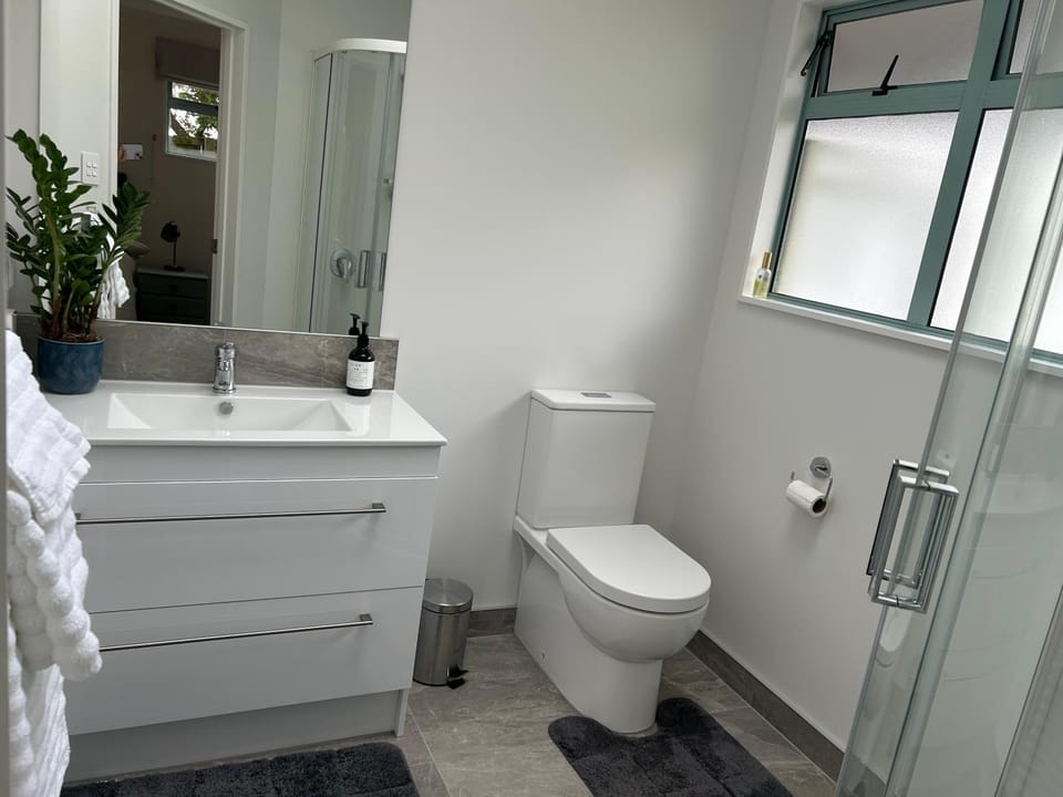 Shower, Toilet, Bathroom, hair dryier, towels