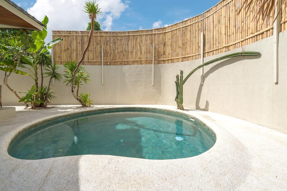 Day, Pool view, Swimming pool