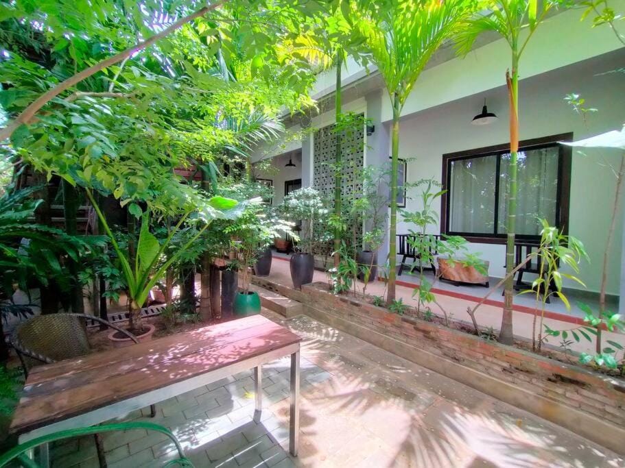 Natural landscape, Garden view