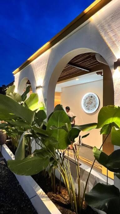 Property building, Night, Garden