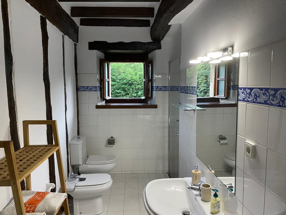 Shower, Toilet, Bathroom, bidet, towels