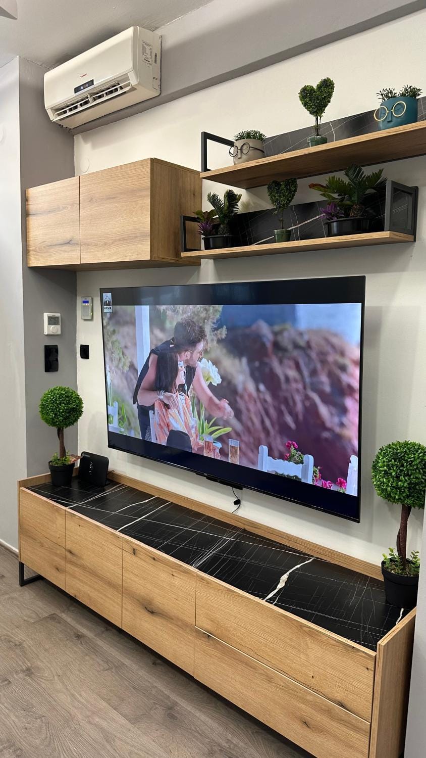 TV and multimedia
