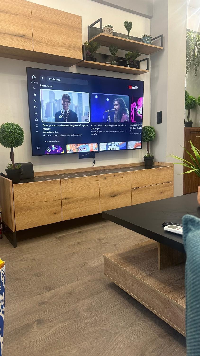 TV and multimedia