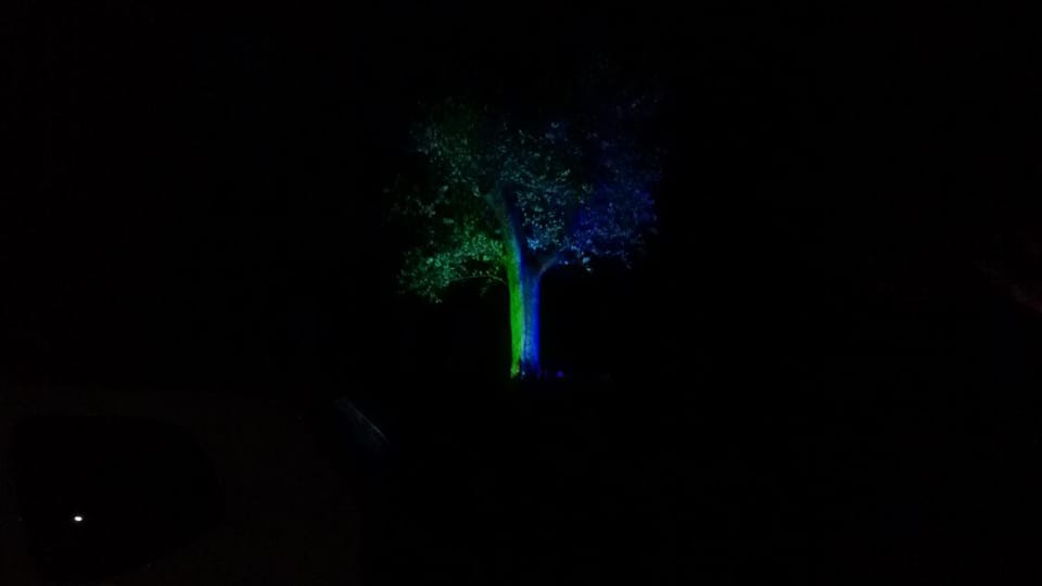 Night, Natural landscape