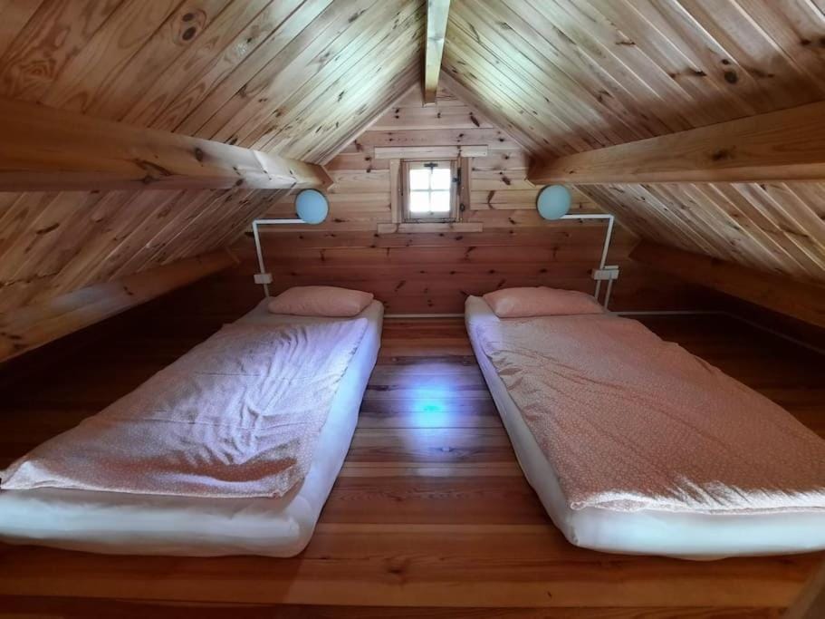 Czerwony Domek pod lasem House in Pomeranian Voivodeship