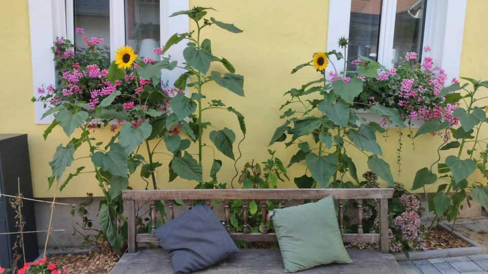 Ti's Herberge Apartment in Rhineland-Palatinate