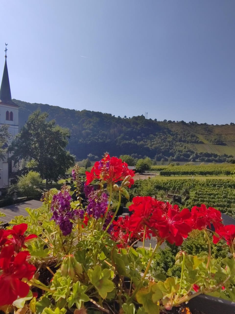 Ti's Herberge Apartment in Rhineland-Palatinate