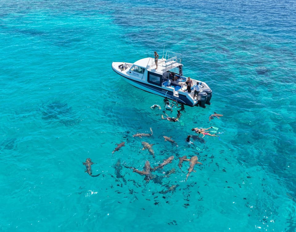 Activities, Snorkeling