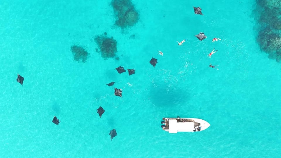 Activities, Snorkeling