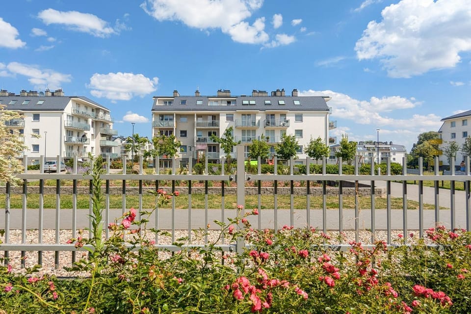 Patio, Garden, Garden view