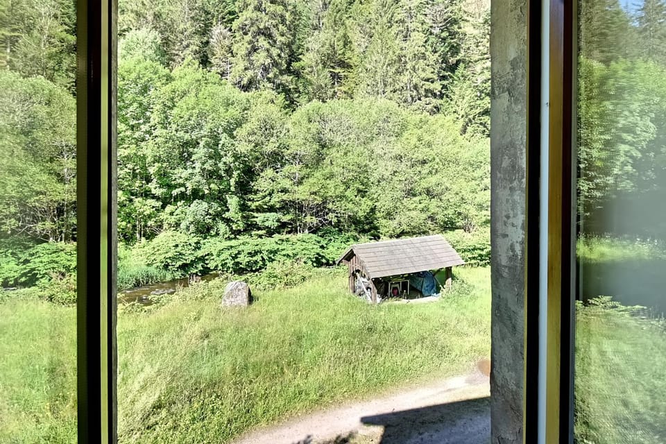 Garden view