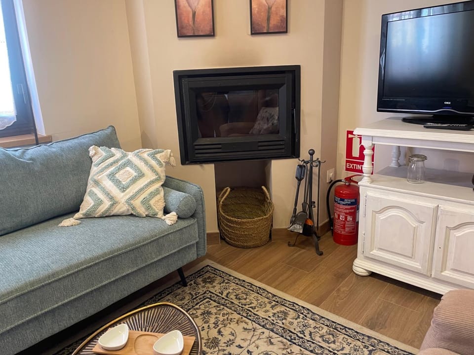 TV and multimedia, Living room, Pets, fireplace, internet