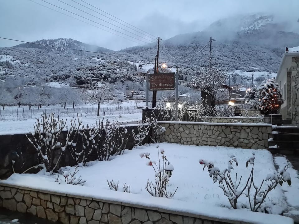 Winter